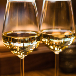 Wine Tasting Photo