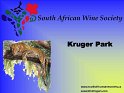 2005-03-30-000_Kruger-2