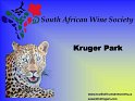 2005-03-30-000_Kruger-3