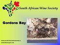 2005-04-09-000_Gordons-Bay