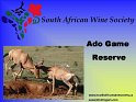 2005-04-15-Ado_Game_Reserve