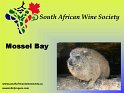 2005-04-16-000_Mossel-Bay